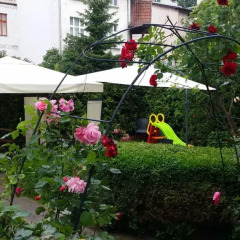 Апартаменты Sopot Roza Apartments Сопот