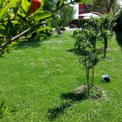 Отель La Casa Di Linda Bed and Breakfast Италия, Мирано - отзывы, цены и фото номеров - забронировать отель La Casa Di Linda Bed and Breakfast онлайн фото 20