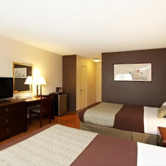 Отель Royal Pagoda Motel США, Лос-Анджелес - отзывы, цены и фото номеров - забронировать отель Royal Pagoda Motel онлайн удобства в номере фото 2
