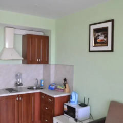Апартаменты Apartment na Nesebrskoy в номере