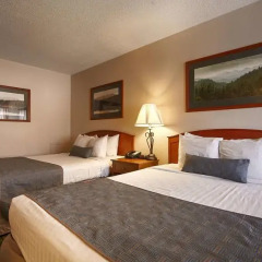 Отель Best Western Buffalo Ridge Inn 2* Стандартный номер с 2 отдельными кроватями фото 5
