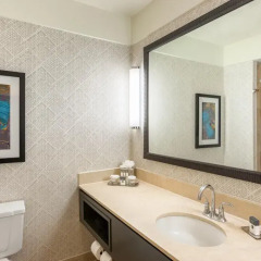 Отель DoubleTree Suites by Hilton Houston by the Galleria 4* Стандартный номер с различными типами кроватей фото 4
