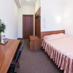 Гостиница Дубки 3* Стандартный номер разные типы кроватей фото 20