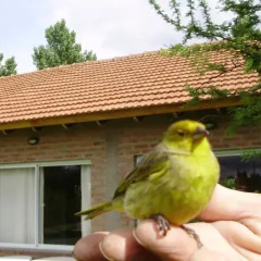 Отель Atahualpa mi Posada спа