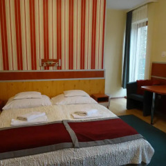 Отель Fortuna Hotel Венгрия, Силвашварад - отзывы, цены и фото номеров - забронировать отель Fortuna Hotel онлайн комната для гостей фото 3