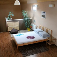 Fabrika Hostel Стандартный номер с различными типами кроватей фото 6