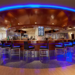 Отель Melia Avenida de America развлечения