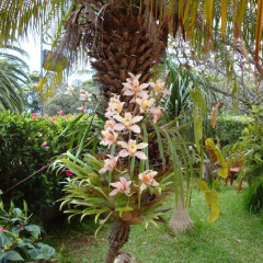 Отель Vila Gama фото 10