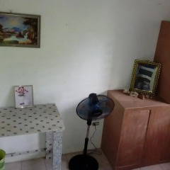 IRIE Vibez hostel Порт Антонио удобства в номере