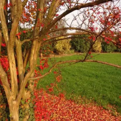 Отель Agriturismo La Risarona Грумоло-делле-Аббадессе фото 7