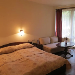 Spa & Apartment Hotel Mountain Romance 3* Студия с различными типами кроватей