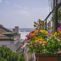 Отель Casinha Das Flores 3* Улучшенный номер фото 10