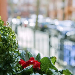 Отель The Apartments by The Sloane Club Великобритания, Лондон - отзывы, цены и фото номеров - забронировать отель The Apartments by The Sloane Club онлайн помещение для мероприятий