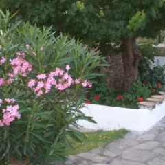 Отель Porto Matina фото 6