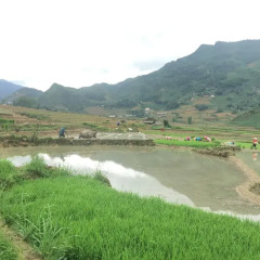 Отель Golden Rice Garden Sapa Шапа приотельная территория фото 2