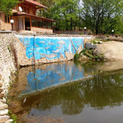 Отель Eco House Gorski Kut Болгария, Аврен - отзывы, цены и фото номеров - забронировать отель Eco House Gorski Kut онлайн бассейн