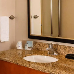 Отель Hampton Inn & Suites Houston-Medical Ctr-Reliant Park 3* Стандартный номер фото 5