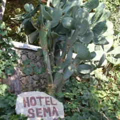Hotel Sema 3* Стандартный номер фото 32