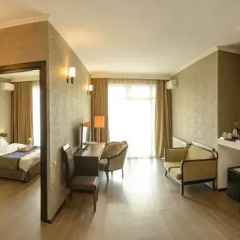 Best Western Tbilisi Art Hotel (Бест Вестерн Тбилиси Арт Отель) Стандартный номер фото 5
