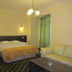 Гостиница Golden Palace комната для гостей фото 5