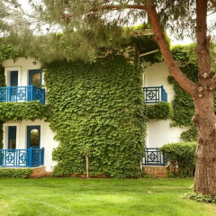 Belconti Resort Hotel 5* Стандартный номер с различными типами кроватей фото 6