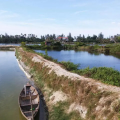 Отель Flora Hoian Villa