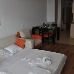 Отель Sunny Holiday Апартаменты с разными типами кроватей фото 8