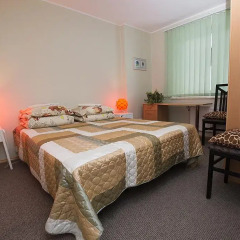 Отель Guest House Drusva Литва, Друскининкай - 1 отзыв об отеле, цены и фото номеров - забронировать отель Guest House Drusva онлайн комната для гостей фото 2