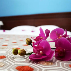 Hotel SANREMO by UNDERSUN 3* Полулюкс с разными типами кроватей фото 5