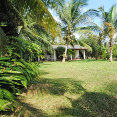Отель Mangrove Villa Шри-Ланка, Бентота - отзывы, цены и фото номеров - забронировать отель Mangrove Villa онлайн фото 14