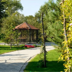 Парк-отель Новый век Энгельс фото 2