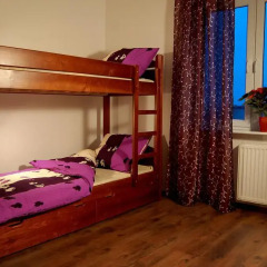 Very Berry Hostel Стандартный номер с различными типами кроватей фото 2