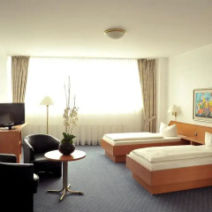 Hotel Ludwig van Beethoven 3* Стандартный номер с двуспальной кроватью фото 4