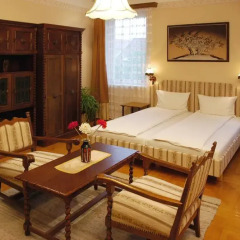 Hotel Manzard Panzio 3* Стандартный номер с различными типами кроватей фото 13