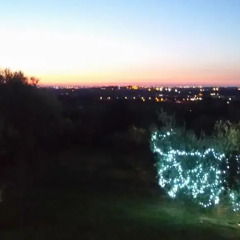Отель Villa Vinivo Римини балкон