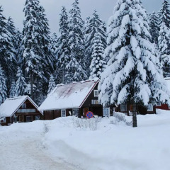 Отель Ski Chalet Borovets спортивное сооружение