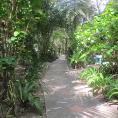 Отель Lanta Island Resort 3* Бунгало Делюкс с различными типами кроватей фото 6