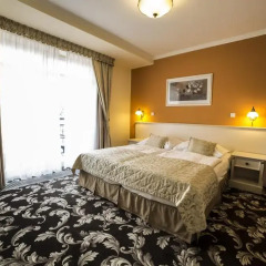 Spa Hotel Cajkovskij Palace 4* Стандартный номер фото 8