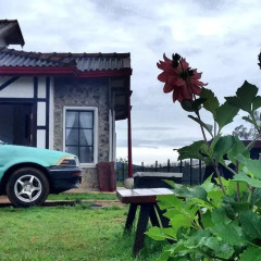 Отель Veyo Cottage парковка