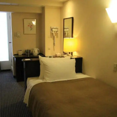 Shinagawa Prince Hotel 3* Стандартный номер с различными типами кроватей фото 5