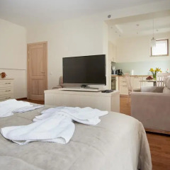 Апартаменты Natalex Apartments Студия с различными типами кроватей фото 12