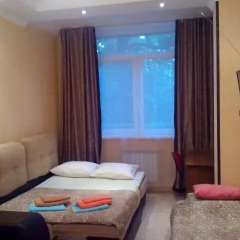 Гостиница Svetlana Apartment в Сочи отзывы, цены и фото номеров - забронировать гостиницу Svetlana Apartment онлайн комната для гостей фото 5
