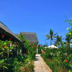 Отель Jardin De Mai Hoi An Вьетнам, Хойан - отзывы, цены и фото номеров - забронировать отель Jardin De Mai Hoi An онлайн фото 2