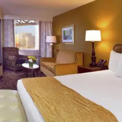 The Orleans Hotel & Casino 3* Номер Делюкс с двуспальной кроватью фото 4