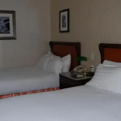 Windsor Inn Hotel в номере фото 2