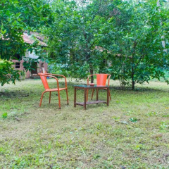 Отель Raikar Guest House Гоа детские мероприятия фото 2