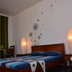Отель Raj Mahal Inn 3* Стандартный номер с различными типами кроватей фото 15