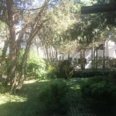 Отель Miro Villa фото 8