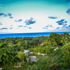 Отель Ackee Tree Sea View Villa пляж фото 2