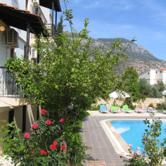 Pasha Apart Hotel Турция, Калкан - отзывы, цены и фото номеров - забронировать отель Pasha Apart Hotel онлайн бассейн фото 3